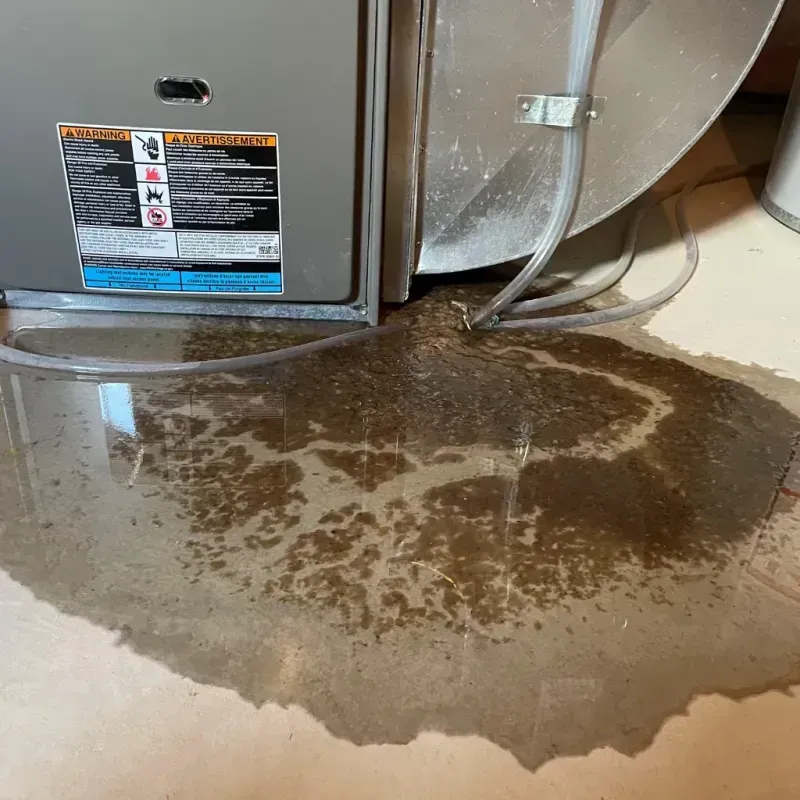 Appliance Leak Cleanup in Gage Park, IL